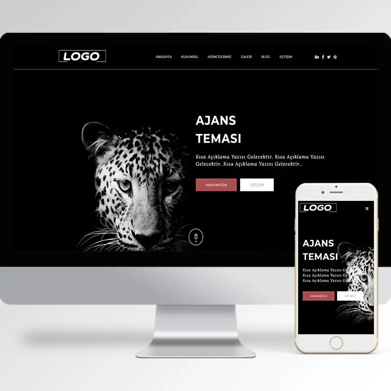 Ajans Hazır Web Sitesi Yazılımı 32
